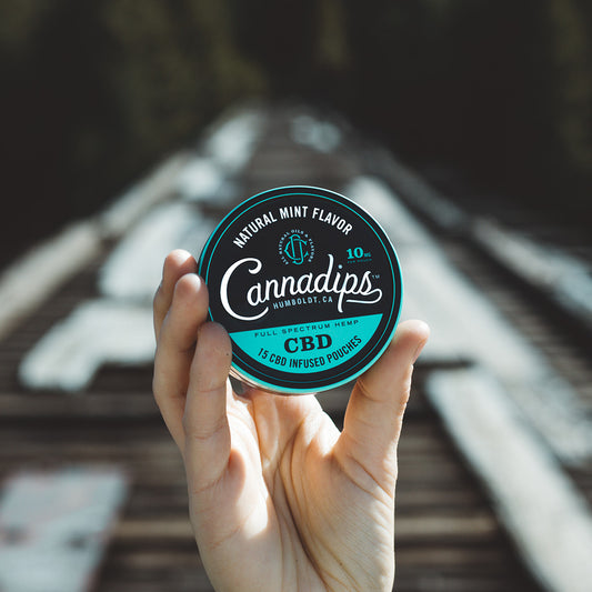 CBD Snus "Minze"